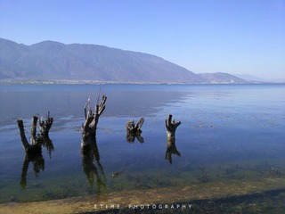 20110207022