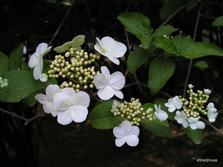 20110422044-1