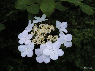 20110422051-1