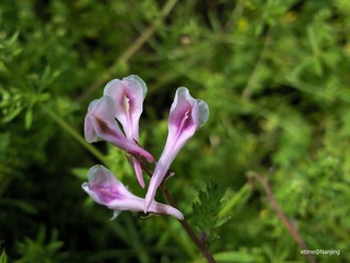 20110422067-1