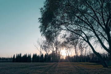 P1040749_DxO