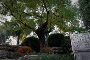 P1050390_DxO