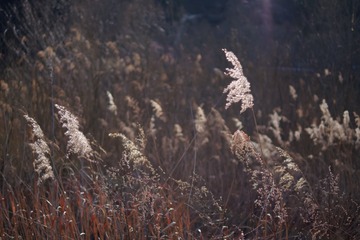 P1060605_DxO