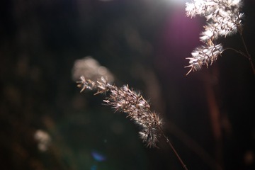 P1060623_DxO