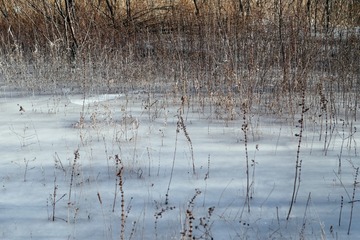 P1060629_DxO