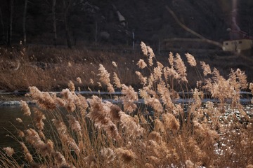 P1060632_DxO