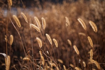 P1060657_DxO