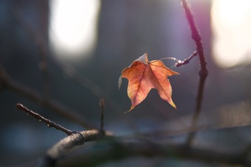 P1060836_DxO