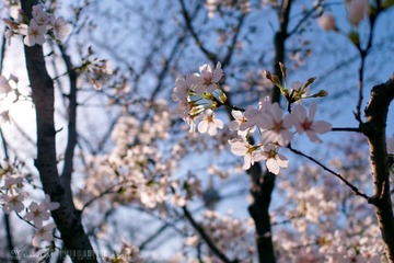 P1240487_DxO