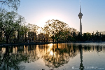 P1240697_DxO