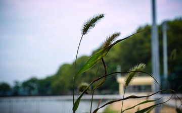 P1000657