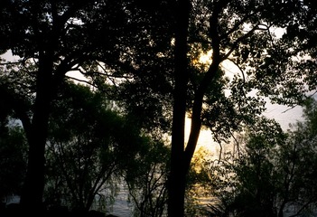 P1000920