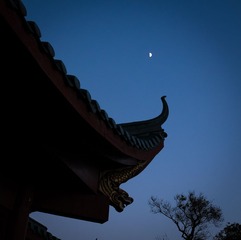 P1000995