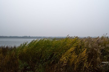 P1010927