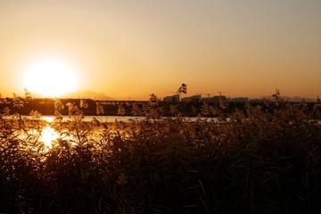 P1020623_DxO