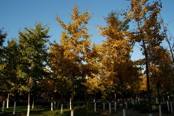 P1020581_DxO