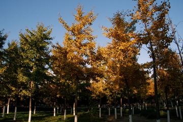 P1020581_DxO