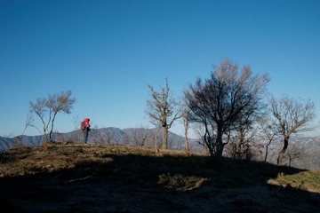 P1030305_DxO