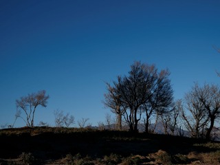 P1030325_DxO