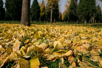 P1030834_DxO
