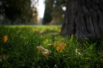 P1030838_DxO