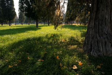 P1030850_DxO