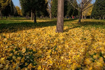 P1030854_DxO