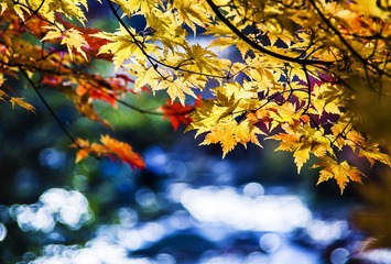 _MG_8670_2