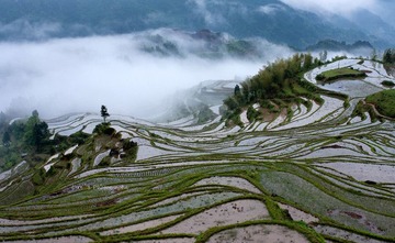 梅源梯田-4