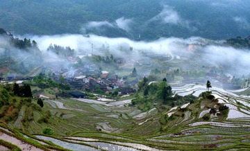 梅源梯田-6