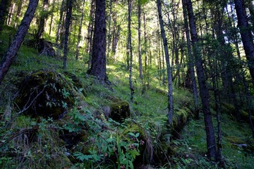 DQI_5859.jpg