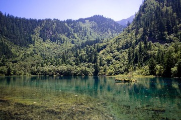 DQI_5995.jpg