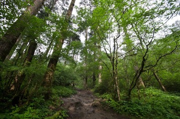 DQI_6377.jpg