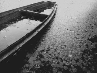 20151030_114003