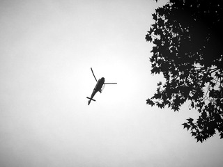 IMG_20151031_213826