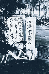 _DSF4411-编辑
