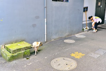 撒尿