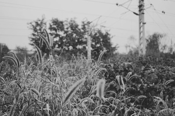 DSC00216_