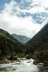 IMGP2724-3