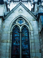 IMGP4537-2