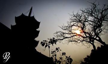 11 04 15回国