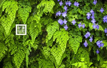 IMG_1637.jpg