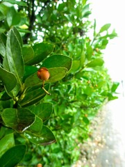 IMG_0797.jpg