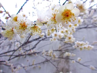 IMG_0800.jpg