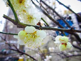 IMG_0802.jpg