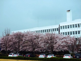 IMG_0915.jpg