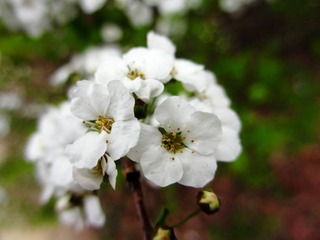 IMG_0870.jpg