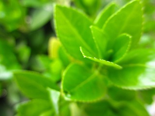 IMG_0875.jpg