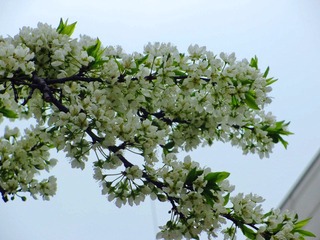 IMG_0886.jpg
