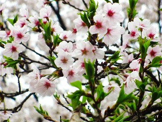 IMG_0889.jpg